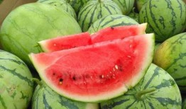 网红大瓜搜索 -今日大赛完整版,今日大赛完整版深度解析